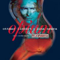 Ottmar Liebert & Luna Negra - Opium CD 2 Dreaming