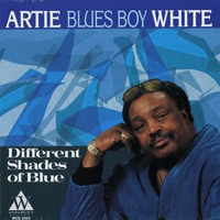 White, Artie - Different Shades Of Blue