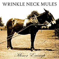 Wrinkle Neck Mules - Minor Enough