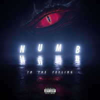 Chase Atlantic - Numb To The Feeling (Single)