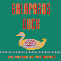 Galapagos Duck - The Voyage Of The Beagle
