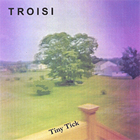 TROiSi - Tiny Tick