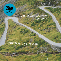 Wallumrod, Christian - Christian Wallumrod Ensemble - Kurzam and Fulger