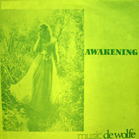Roger Webb - Awakening (LP)