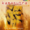 1999 Kamasutra Experience