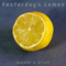 2009 Yesterday's Lemon (EP)