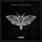 2019 Moths (Single)