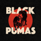 2019 Black Pumas