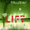 2004 Lift (Single)