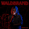 2016 Waldbrand (EP)