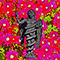 2011 Pink Flowers (EP)