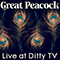 2019 Live At Dittytv