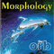 1993 Morphology
