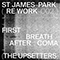 2020 The Upsetters (St. James Park Remix)