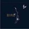 1988 Bird