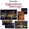 1986 Splendour Sauvage (OST)