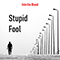 2020 Stupid Fool (Single)