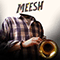 2017 Meesh