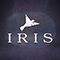 2019 Iris (Single)