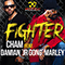 2013 Fighter (Single)