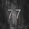 2019 77 (Single)