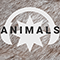 2020 Animals (Single)