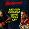 2017 Never Gonna Give You Up (Single)