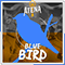 2020 Blue Bird (From 
