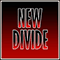 2018 New Divide
