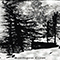2017 The Forest Wail (demo)
