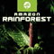 2006 Amazon Rainforest (Demo)
