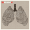 2013 Collapsible Lung