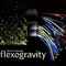 1996 Flexogravity (with Mind da Gap) [EP]
