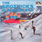 1966 The Spotnicks In Winterland