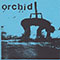 1998 orchid / Pig Destroyer (from split)