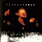 1994 Superunknown