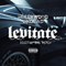 2011 Levitate (Digital Dog Club Mix) (Single)