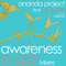 2011 Awareness (Remixes) 