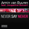 2009 Never Say Never (Remixes) (Split)