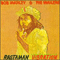 1976 Rastaman Vibration