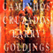 Larry Goldings ~ Caminhos Cruzados