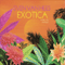 2007 Exotica (Cosmic Love Continues)