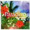 2008 Paradiso