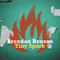 2002 Tiny Spark (Single)