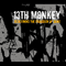 13th Monkey - Redefining The Paradigm Of Bang