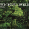 2008 Wonderful World