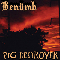 2002 Benumb & Pig Destroyer (Split)