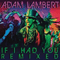 2010 If I Had You (Remixed)