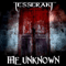 2009 The Unknown