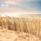 2019 Back To The Beach (Single)